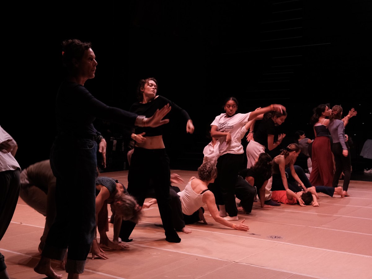 MARDI : DANSE CONTEMPORAINE ET IMPRO DÉBUTANTS (17 + et adultes)