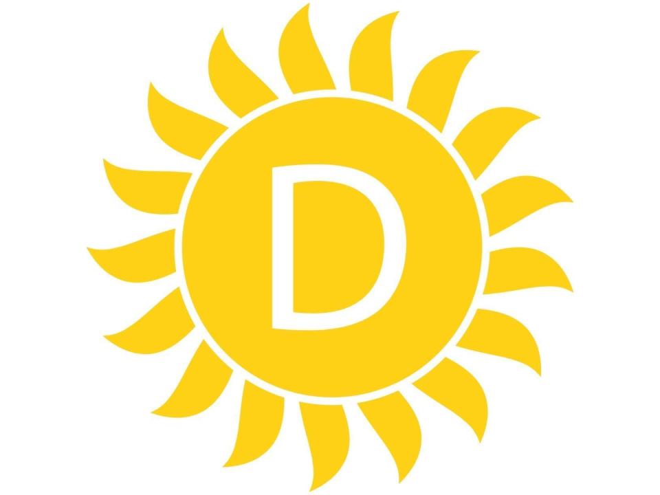 Nos Vitamines D(anse)